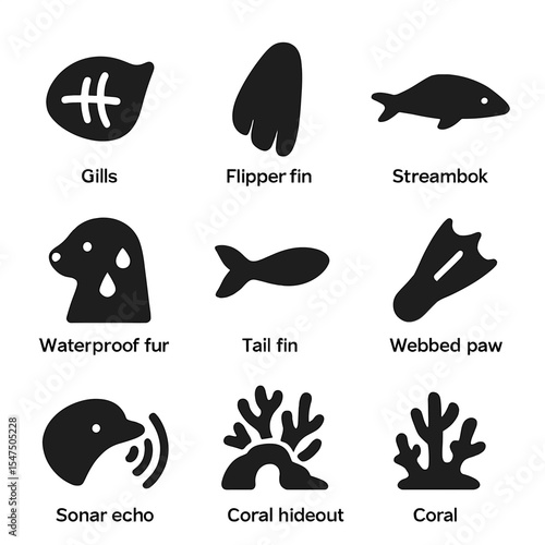 Aquatic Adaptation Icons. Solid, filled icons set of aquatic animal adaptations: gills icon, flipper fin,