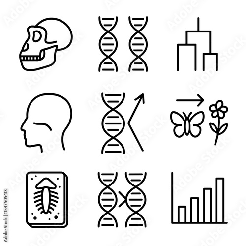 Evolutionary Genetics Icons. Outline icon set of evolutionary genetics of the brain: hominid skull, comparative DNA strands,