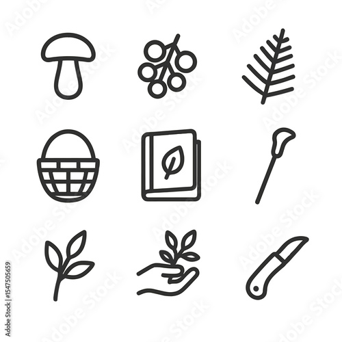 Forest Foraging Icons. Outline icon set of forest foraging walk: mushroom, berry cluster, fern frond, wicker basket, guidebook,