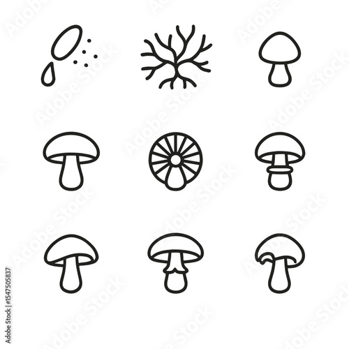Mushroom Lifecycle Icons. Outline icon set of mushrooms lifecycle: spore, mycelium network, primordium, fruiting body, gill