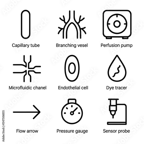 Medical Icon Set. Outline icon set of vascularization network: capillary tube, branching vessel, perfusion pump, microfluidic