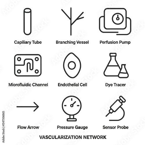 Medical Icon Set. Outline icon set of vascularization network: capillary tube, branching vessel, perfusion pump, microfluidic