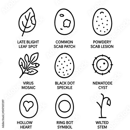 Potato Disease Icons. Outline icon set of potato diseases: late blight leaf spot, common scab patch, powdery scab lesion, virus