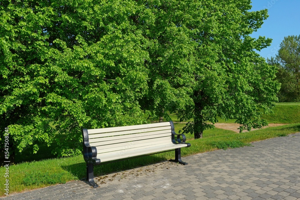 Bench in a beautiful city park. A good place to relax. Bench in a beautiful city park. A good place to relax.