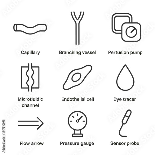 Vascular Network Icons. Outline icon set of vascularization network: capillary tube, branching vessel, perfusion pump,