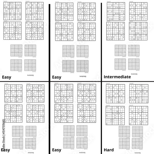 28 6x4 Sudoku Puzzles with Solutions – Easy to Hard Printable Logic Games


