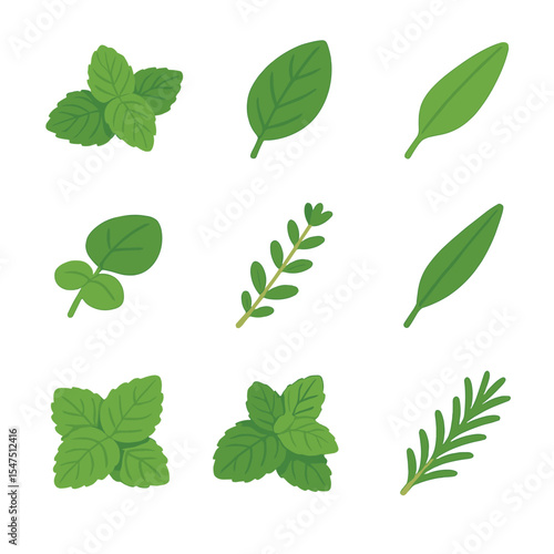 Herb Leaf Icon Set. Isometric Flat icon set of medicinal herb leaves: mint leaf, basil leaf, sage leaf, oregano leaf, thyme sprig,