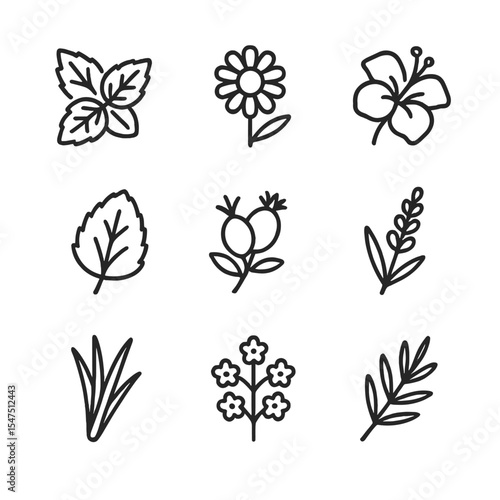 Herbal Tea Icons. Outline icon set of herbal tea blends: mint sprig, chamomile blossom, hibiscus petal, rooibos branch, lemon balm