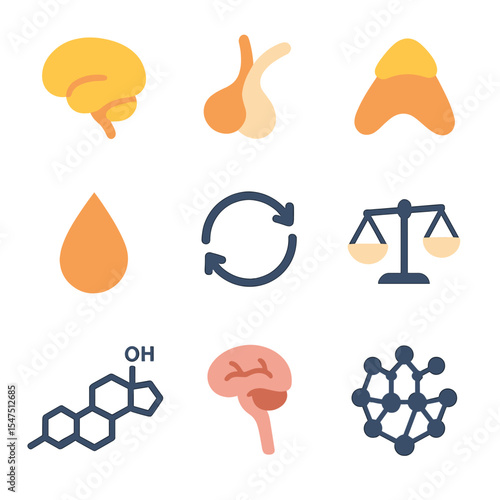HPA Axis Icons. Flat icon set of HPA axis dysregulation: hypothalamus icon, pituitary gland, adrenal gland, hormone droplet,