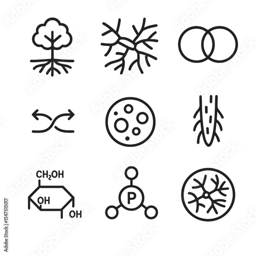 Mycorrhizal Icon Set. Outline icon set of mycorrhizal association: tree root, fungal hyphae, symbiosis icon, nutrient exchange