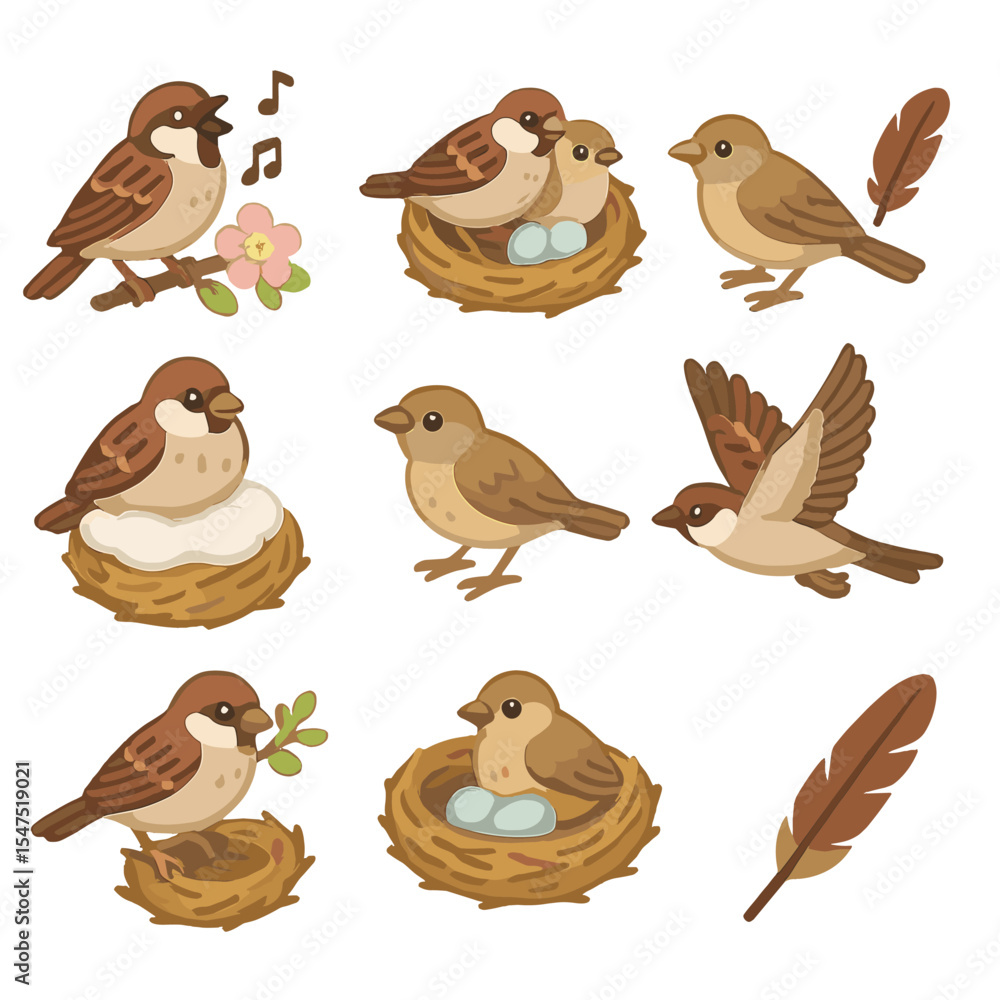 Naklejka premium Sparrow Seasonal Icons. Isometric Flat icon set of sparrow seasonal cycles: spring singing, summer breeding, autumn molt, winter