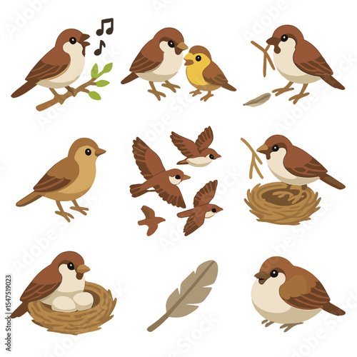 Sparrow Seasonal Icons. Isometric Flat icon set of sparrow seasonal cycles: spring singing, summer breeding, autumn molt, winter