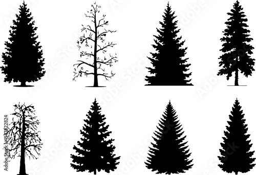 Mountain and Pine Tree Landscape Silhouette