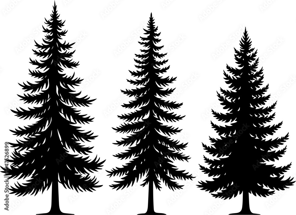 Fototapeta premium mountain pine tree forest vector bundle
