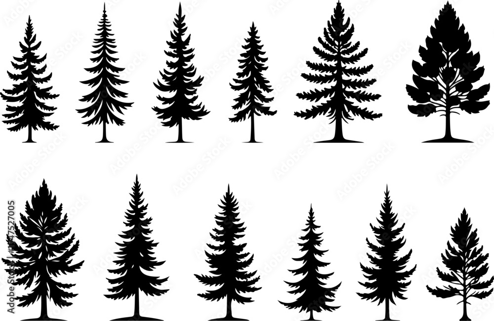 Obraz premium mountain pine tree forest vector bundle