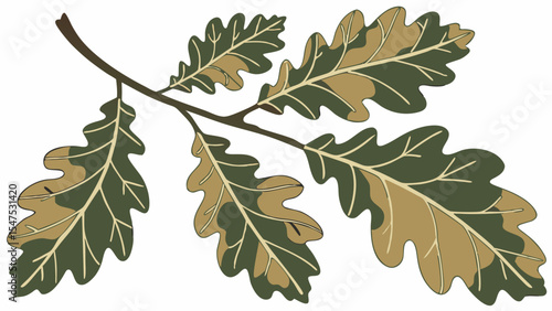 Detailed Natural Green and Brown Oak Leaves on Tree Branch Autumn Fall Seasonal Nature Background Texture