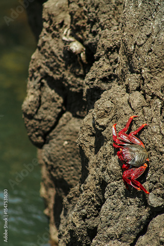 Madeira landscapes, desktop wallpaper, phone screensaver, 