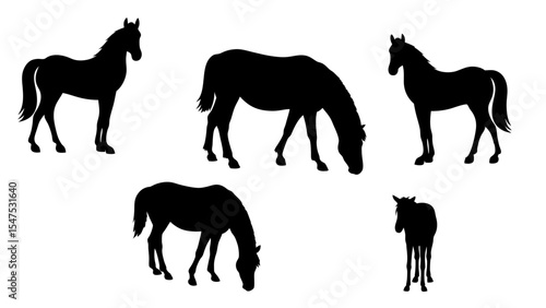 silhouettes of horses