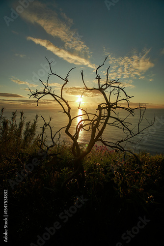 Madeira landscapes, desktop wallpaper, phone screensaver, 