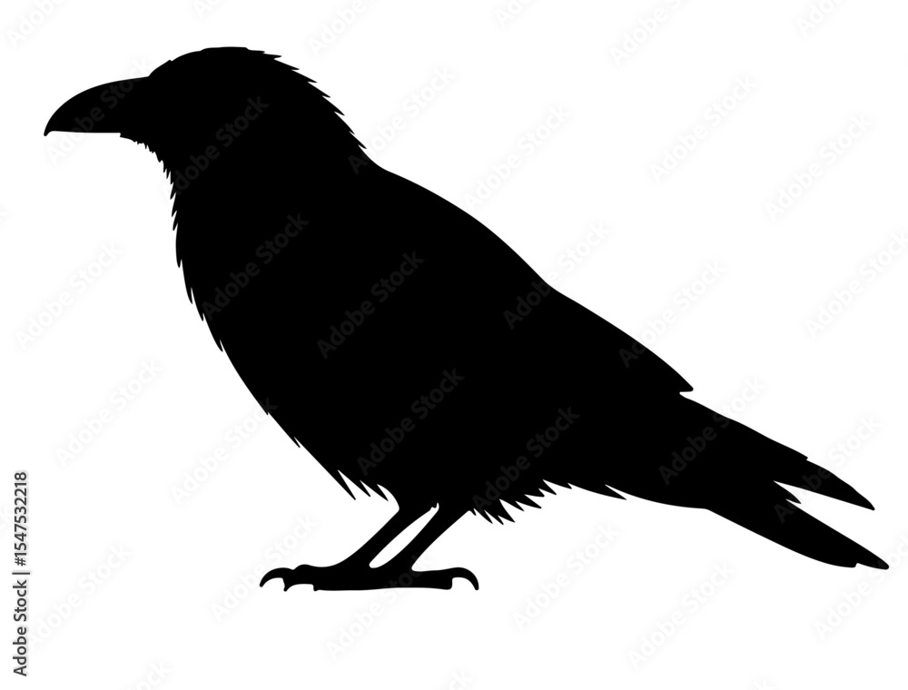 Fototapeta premium black vector image of crow silhouette on white background side views side.