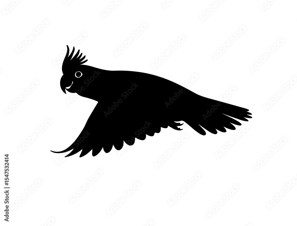 Obraz premium Cockatiel in silhouette on white background side views full image.