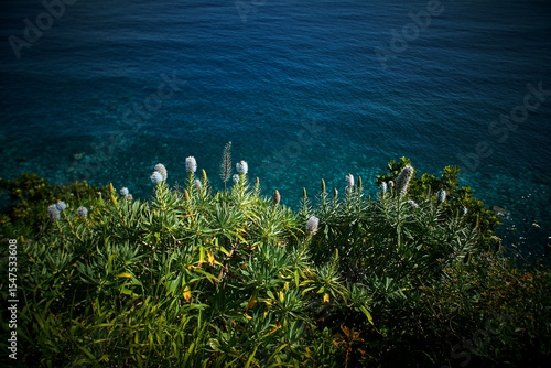 Madeira landscapes, desktop wallpaper, phone screensaver, 