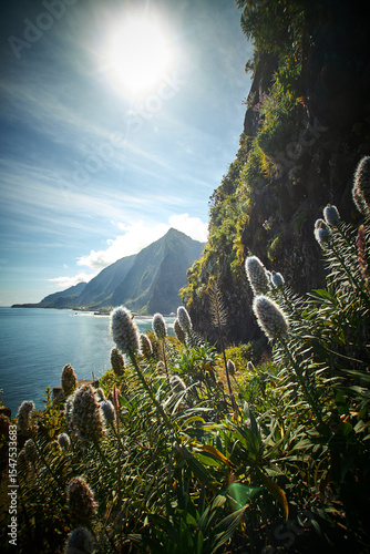 Madeira landscapes, desktop wallpaper, phone screensaver, 