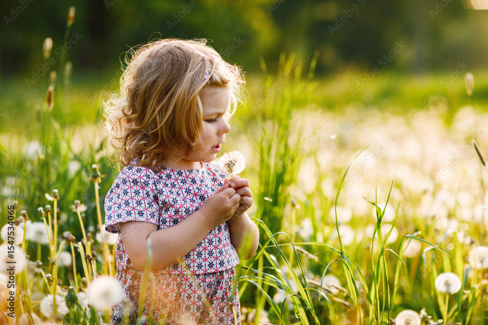 Adorable cute little baby girl blowing on a dandelion flower on the nature in the summer. Happy healthy beautiful toddler child with blowball, having fun. Bright sunset light, active kid. Adorable cute little baby girl blowing on a dandelion flower on the nature in the summer. Happy healthy beautiful toddler child with blowball, having fun. Bright sunset light, active kid.