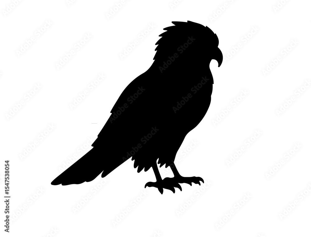 Obraz premium Hawk silhouette on white background.