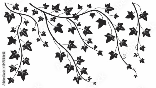 Elegant Black Silhouette Ivy Vine Branch with Trailing Leaves Graphic Design Element