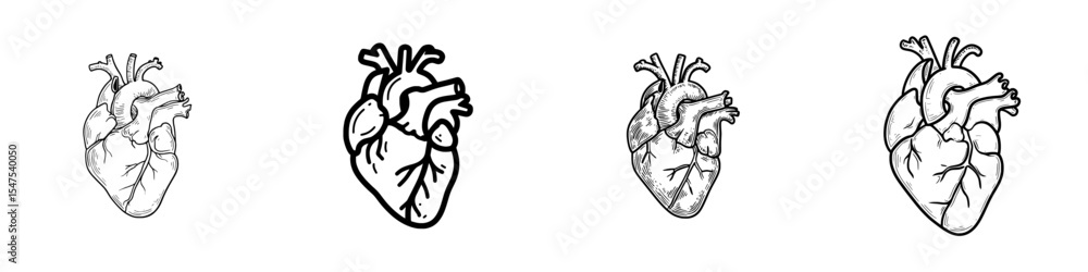 Fototapeta premium Modern illustration of the human organ, a thin line icon of the anatomical heart