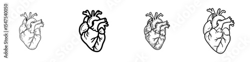 Modern illustration of the human organ, a thin line icon of the anatomical heart