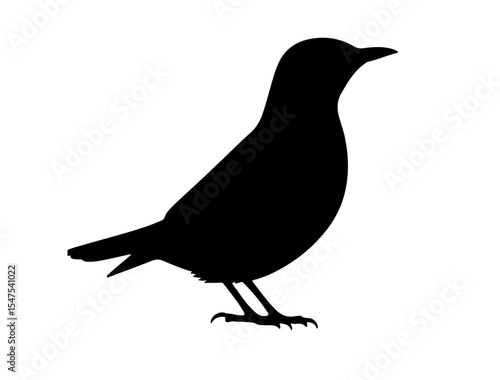  Vector image of Alpine thrush in silhollouette vector image.