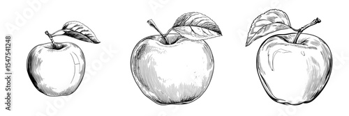 The illustration features a black line drawing of an apple in a modern, hand-drawn style, characteristic of contemporary graphic art and reminiscent of a logo