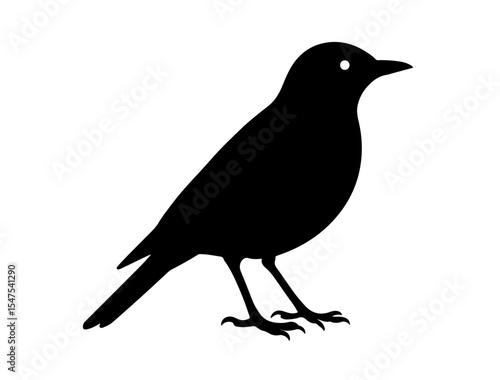 Vector image of Alpine thrush in silhollouette vector image.