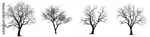 Modern illustration featuring a bare tree silhouette devoid of leaves, presented in a non-threatening manner, hand drawn, and set against a white background