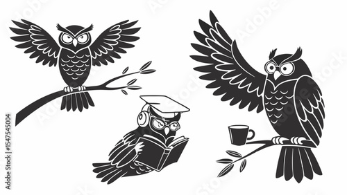 Cartoon Owls Vector Illustration Set Reading Book Studying And Drinking Coffee