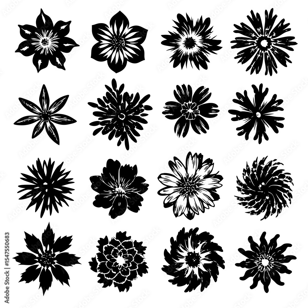 Floral blossoms and blooms isolated on white background Floral blossoms and blooms isolated on white background