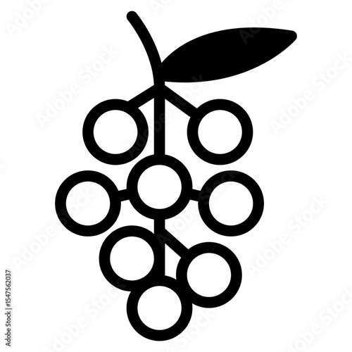 Exotic Fruit Buni Vector Illustration