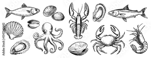 Vintage seafood illustration collection, element vector set