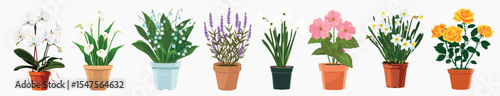 Colorful potted flowers illustration, isolated vector set
