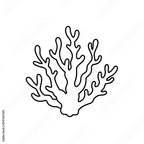 coral reef                          .
