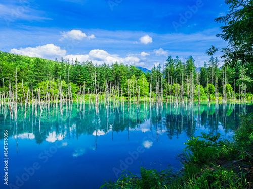 北海道　青い池　美瑛