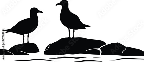 Seagulls on Coastal Rocks Silhouette – Seaside Bird Illustration