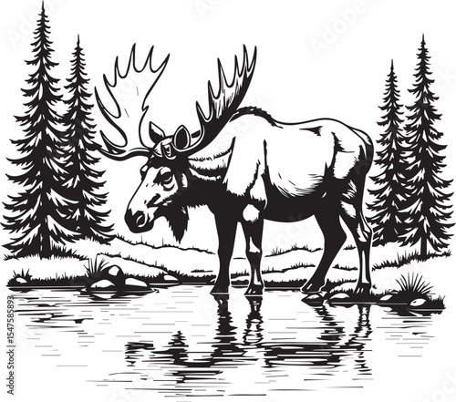 Majestic Moose at Waters Edge: Detailed black and white ink drawing of a grand moose standing tall by a calm waters edge surrounded by evergreen tree.
