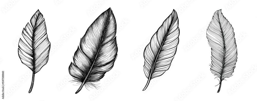 Fototapeta premium Sketches of various leaf designs in black and white style - Concept of isolated sketch