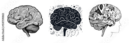 Brain isolated sketch with creative designs and artistic styles  