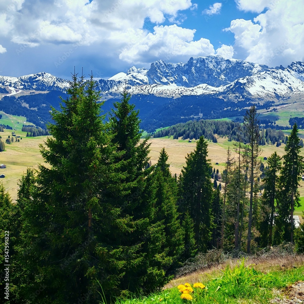 Fototapeta premium mountain landscape with trees