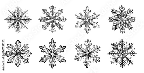 Collection of intricate snowflakes in detailed isolated sketch style, vector icon set in sketch style