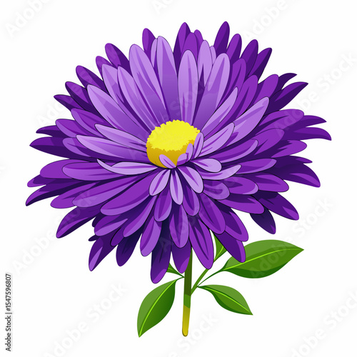 Detailed vector illustration of a vibrant purple aster flower with a delicate daisy companion